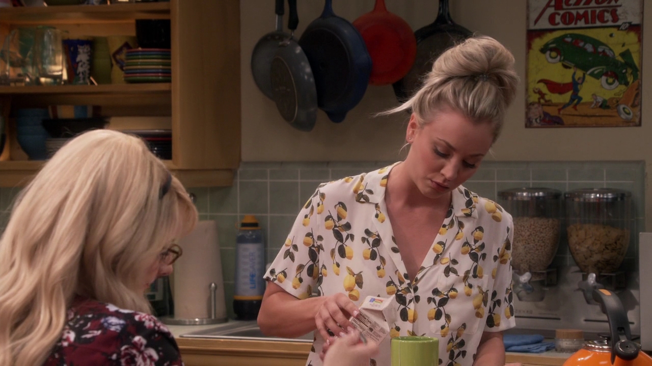 Charmed-Online-dot-nl_TheBigBangTheory11x01-0241.jpg