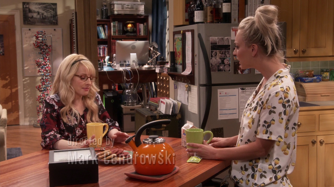 Charmed-Online-dot-nl_TheBigBangTheory11x01-0255.jpg