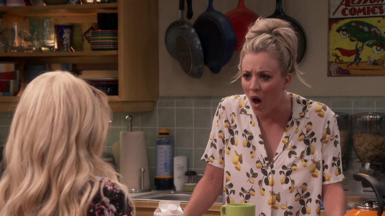 Charmed-Online-dot-nl_TheBigBangTheory11x01-0264.jpg