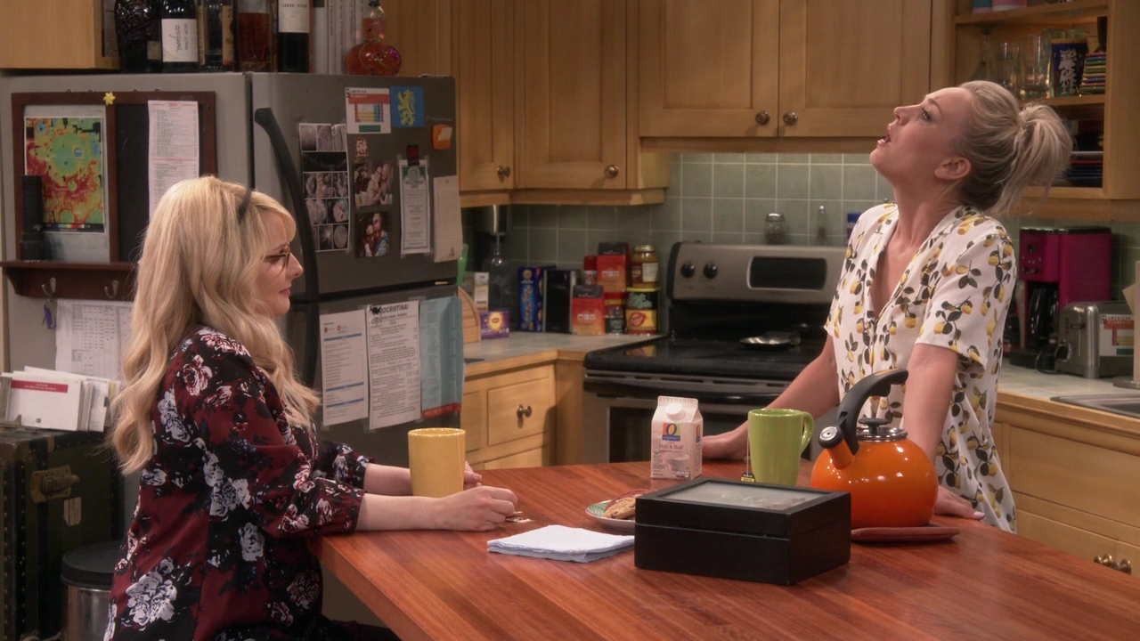 Charmed-Online-dot-nl_TheBigBangTheory11x01-0270.jpg