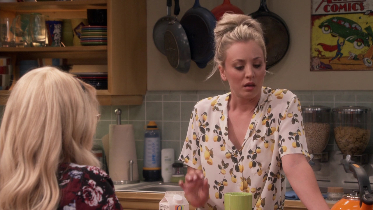 Charmed-Online-dot-nl_TheBigBangTheory11x01-0272.jpg