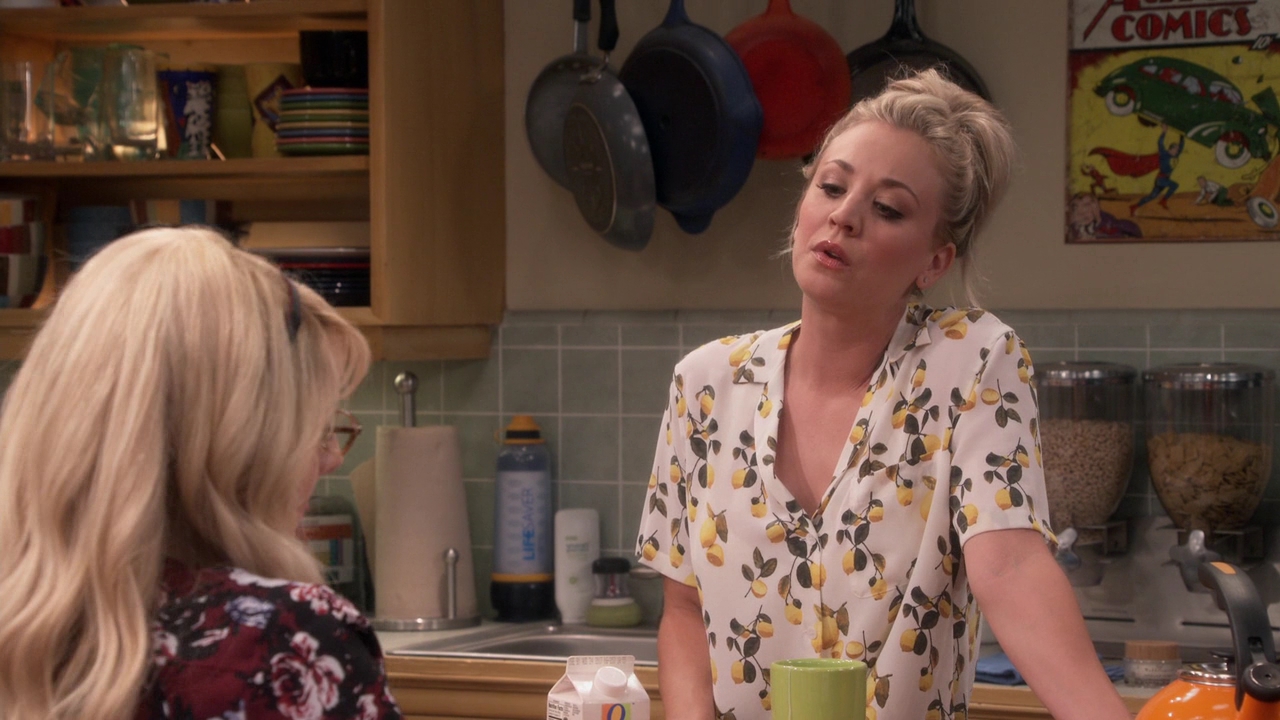Charmed-Online-dot-nl_TheBigBangTheory11x01-0274.jpg