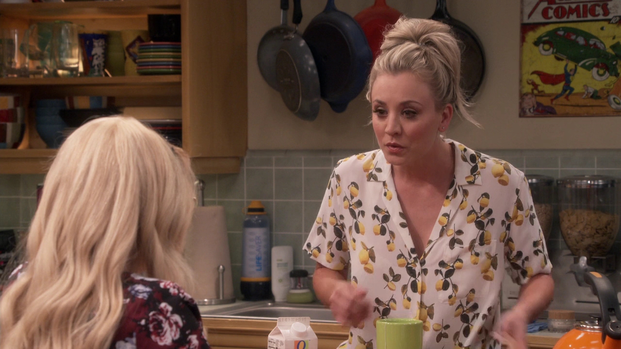 Charmed-Online-dot-nl_TheBigBangTheory11x01-0282.jpg