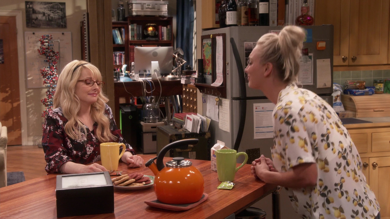 Charmed-Online-dot-nl_TheBigBangTheory11x01-0287.jpg