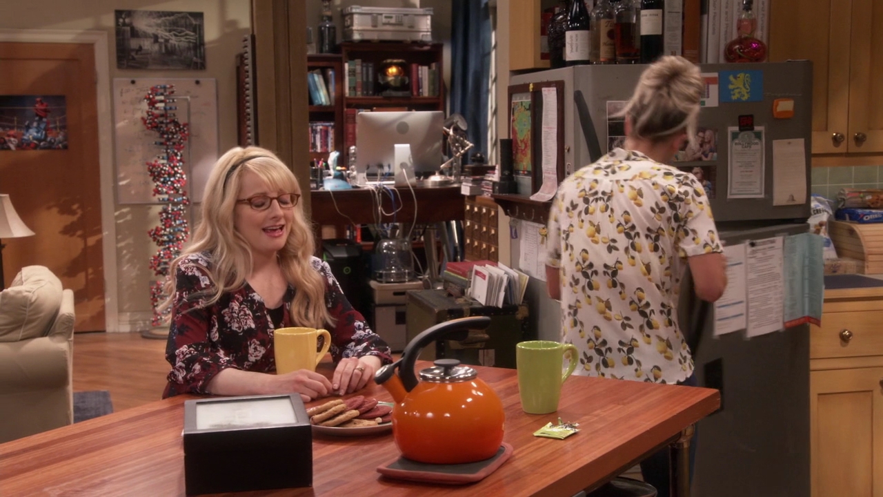Charmed-Online-dot-nl_TheBigBangTheory11x01-0317.jpg