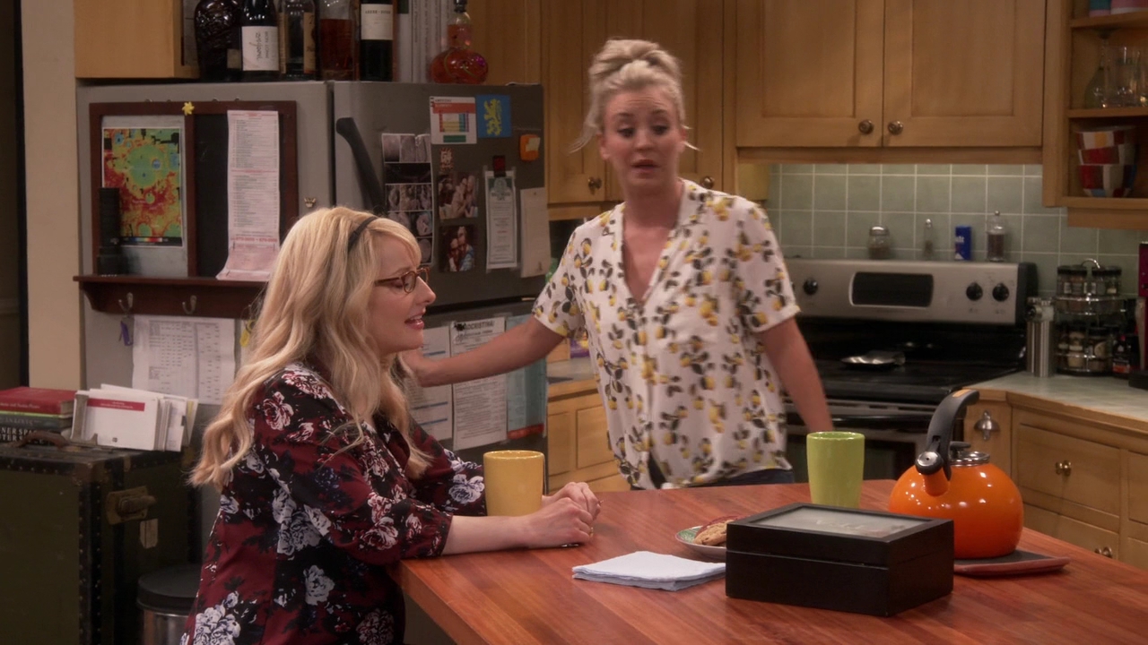 Charmed-Online-dot-nl_TheBigBangTheory11x01-0320.jpg