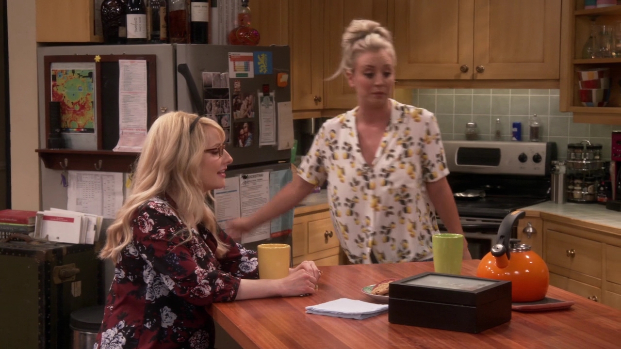 Charmed-Online-dot-nl_TheBigBangTheory11x01-0321.jpg