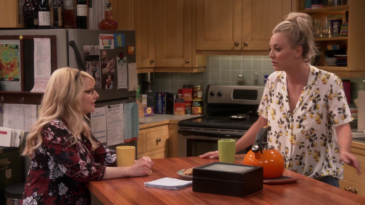 Charmed-Online-dot-nl_TheBigBangTheory11x01-0322.jpg