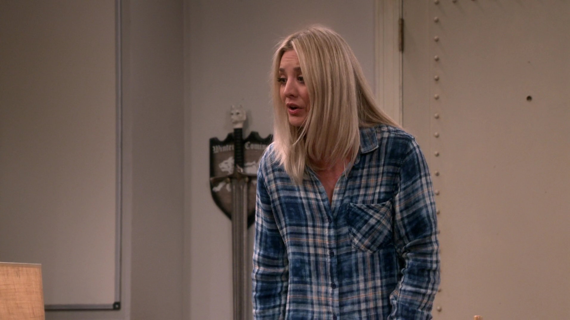 Charmed-Online-dot-nl_TheBigBangTheory11x02-1015.jpg