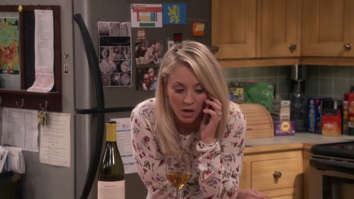 Charmed-Online-dot-NL_TheBigBangTheory11x04-0528.jpg