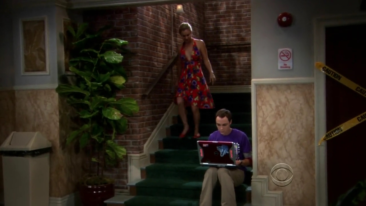 Charmed-Online-dot-net_TBBT-2x02-_0102.jpg