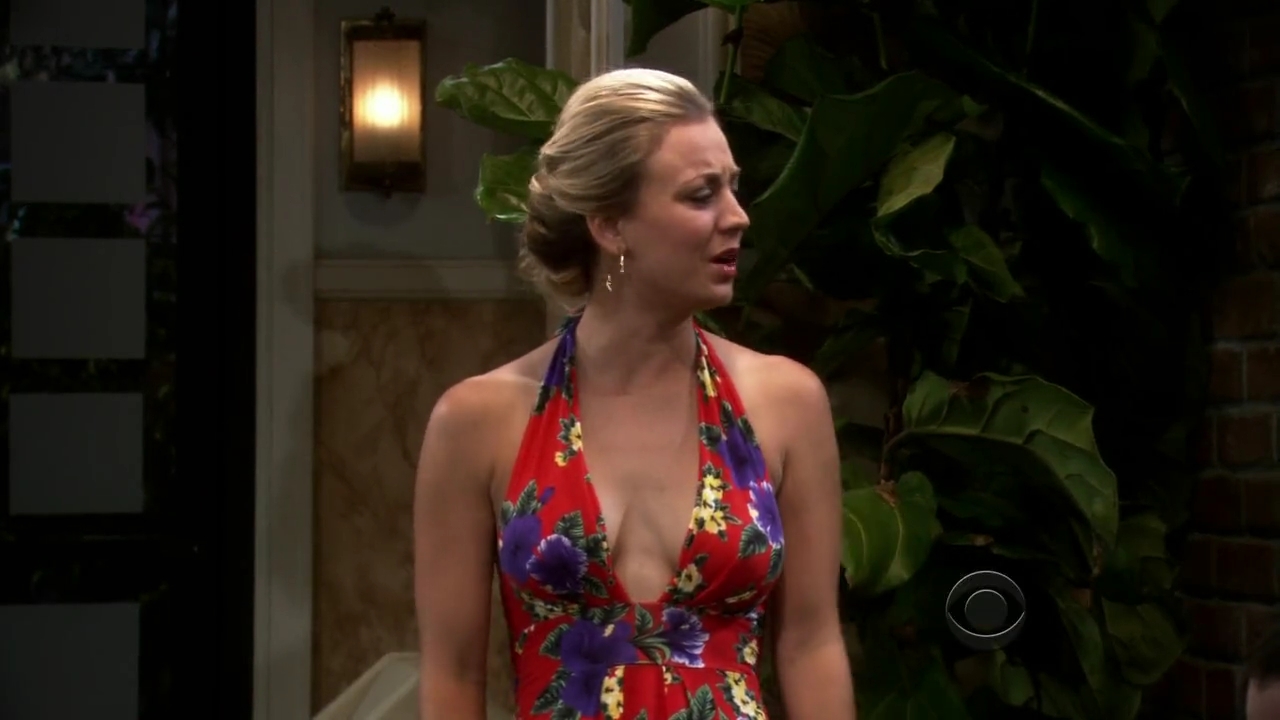 Charmed-Online-dot-net_TBBT-2x02-_0123.jpg