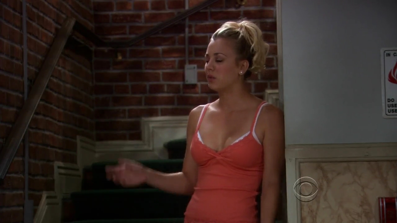 Charmed-Online-dot-net_TBBT-2x02-_0320.jpg