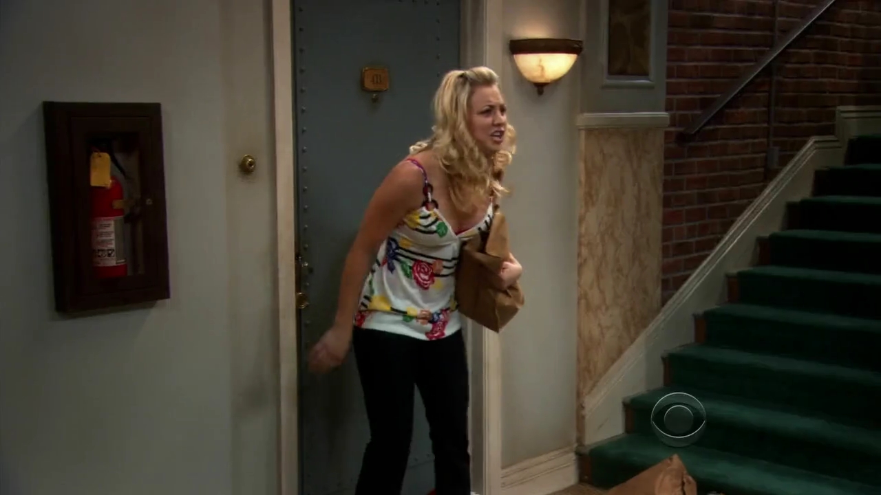 Charmed-Online-dot-net_TBBT-2x03-_0082.jpg