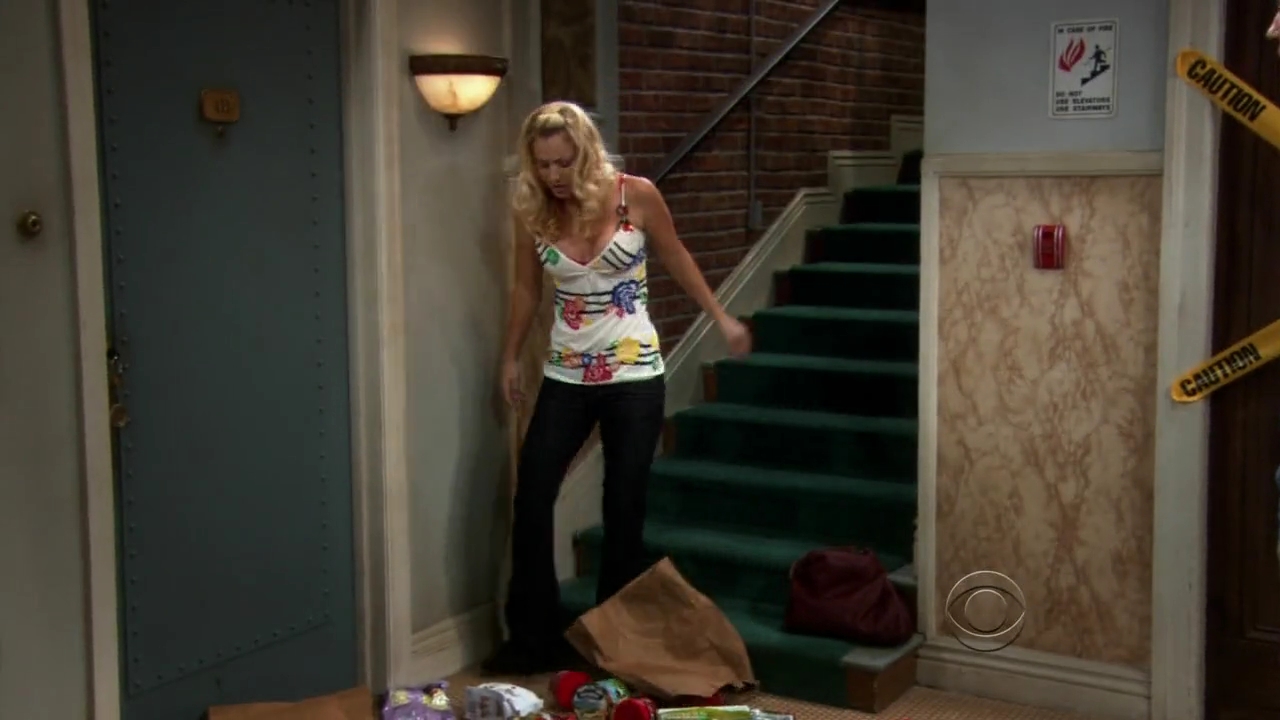 Charmed-Online-dot-net_TBBT-2x03-_0106.jpg
