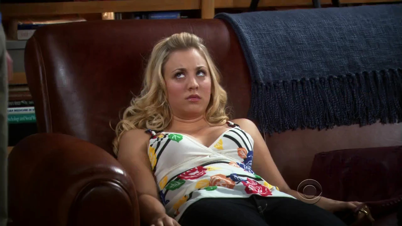 Charmed-Online-dot-net_TBBT-2x03-_0187.jpg