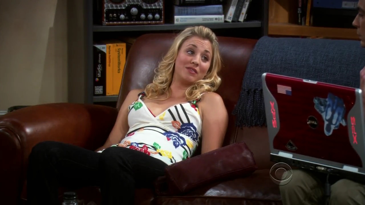 Charmed-Online-dot-net_TBBT-2x03-_0251.jpg