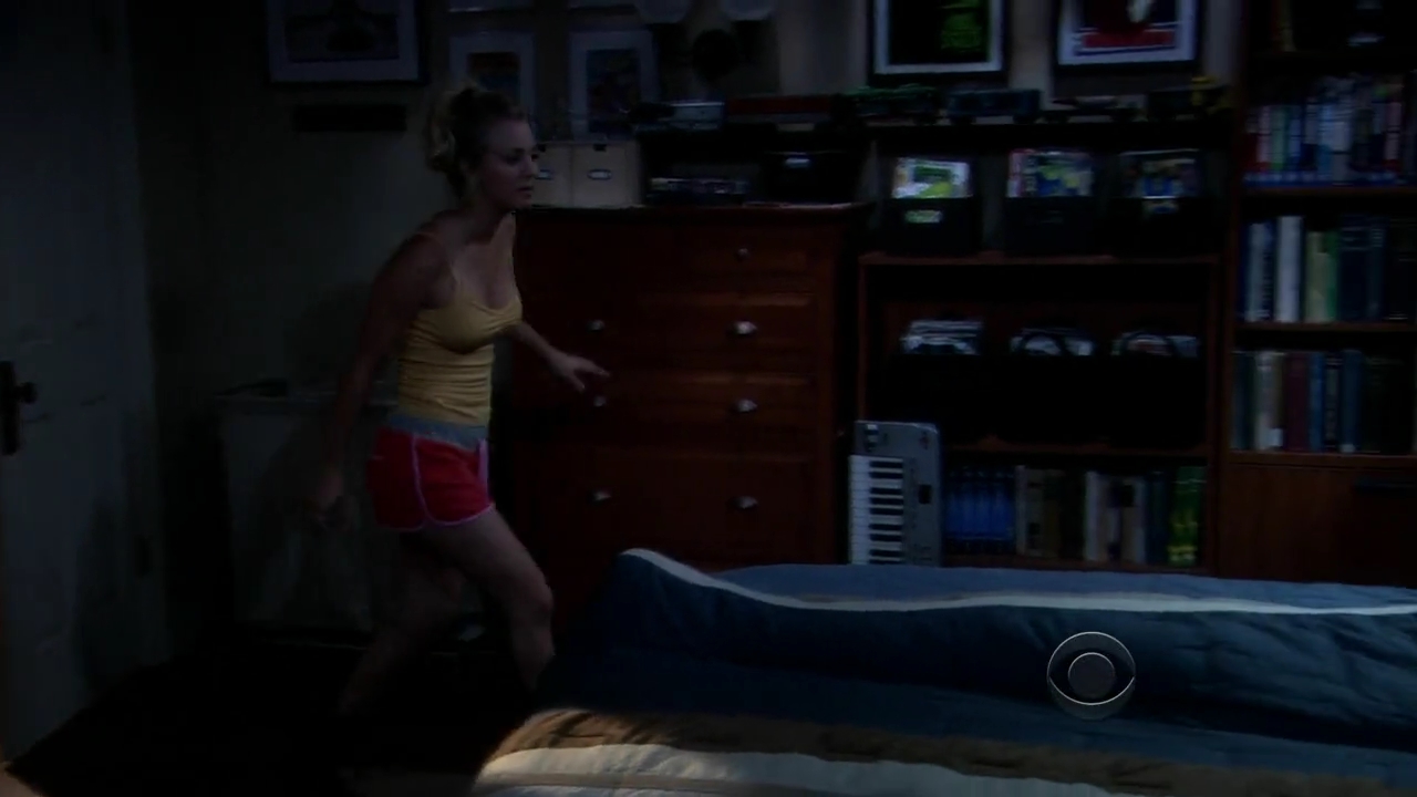 Charmed-Online-dot-net_TBBT-2x03-_0468.jpg