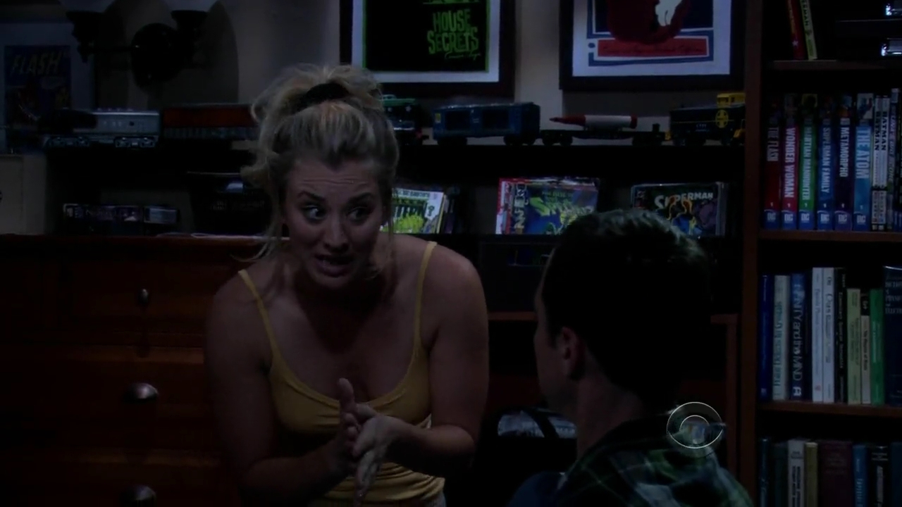 Charmed-Online-dot-net_TBBT-2x03-_0478.jpg