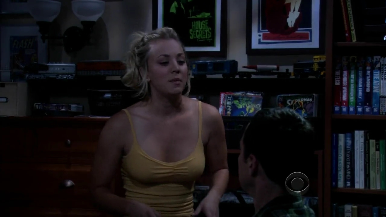 Charmed-Online-dot-net_TBBT-2x03-_0500.jpg