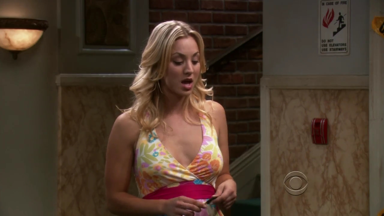 Charmed-Online-dot-net_TBBT-2x06-0235.jpg