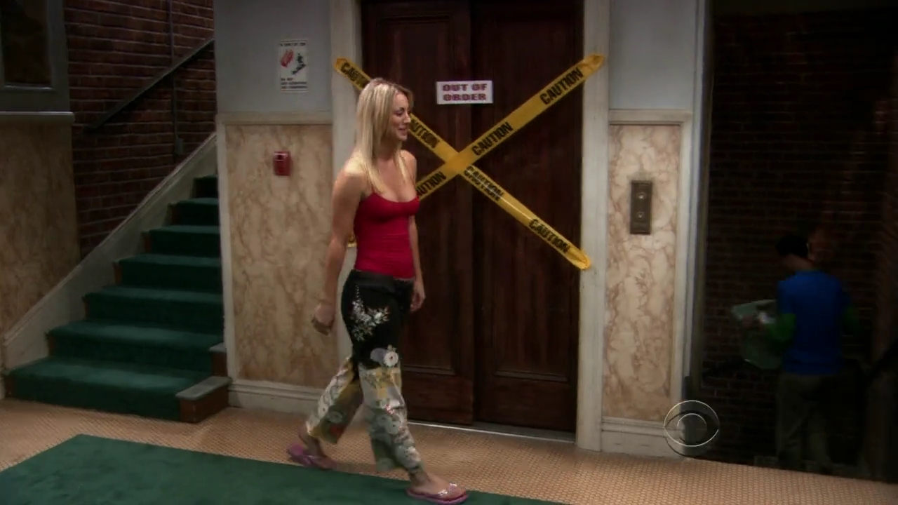 Charmed-Online-dot-net_TBBT-2x07-0810.jpg