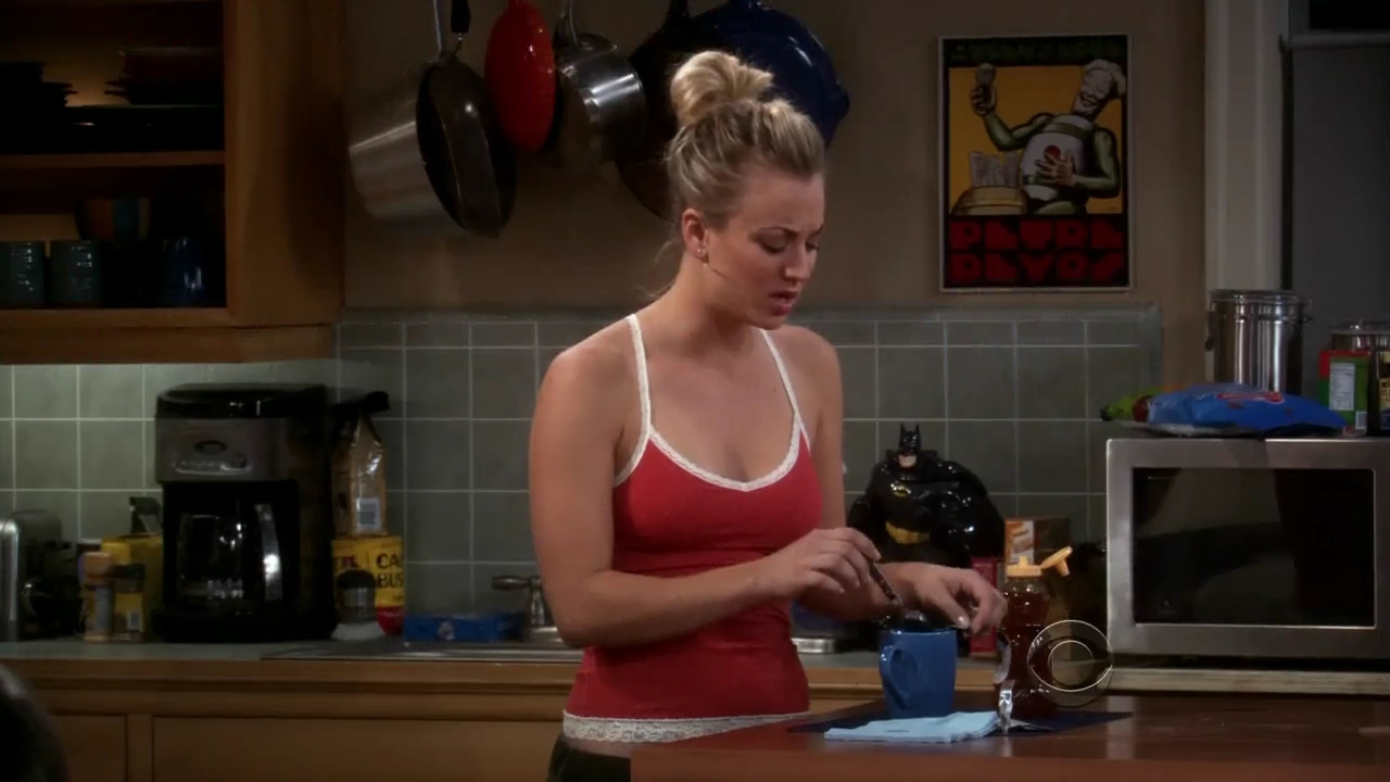 Charmed-Online-dot-net_TBBT-2x08-0397.jpg