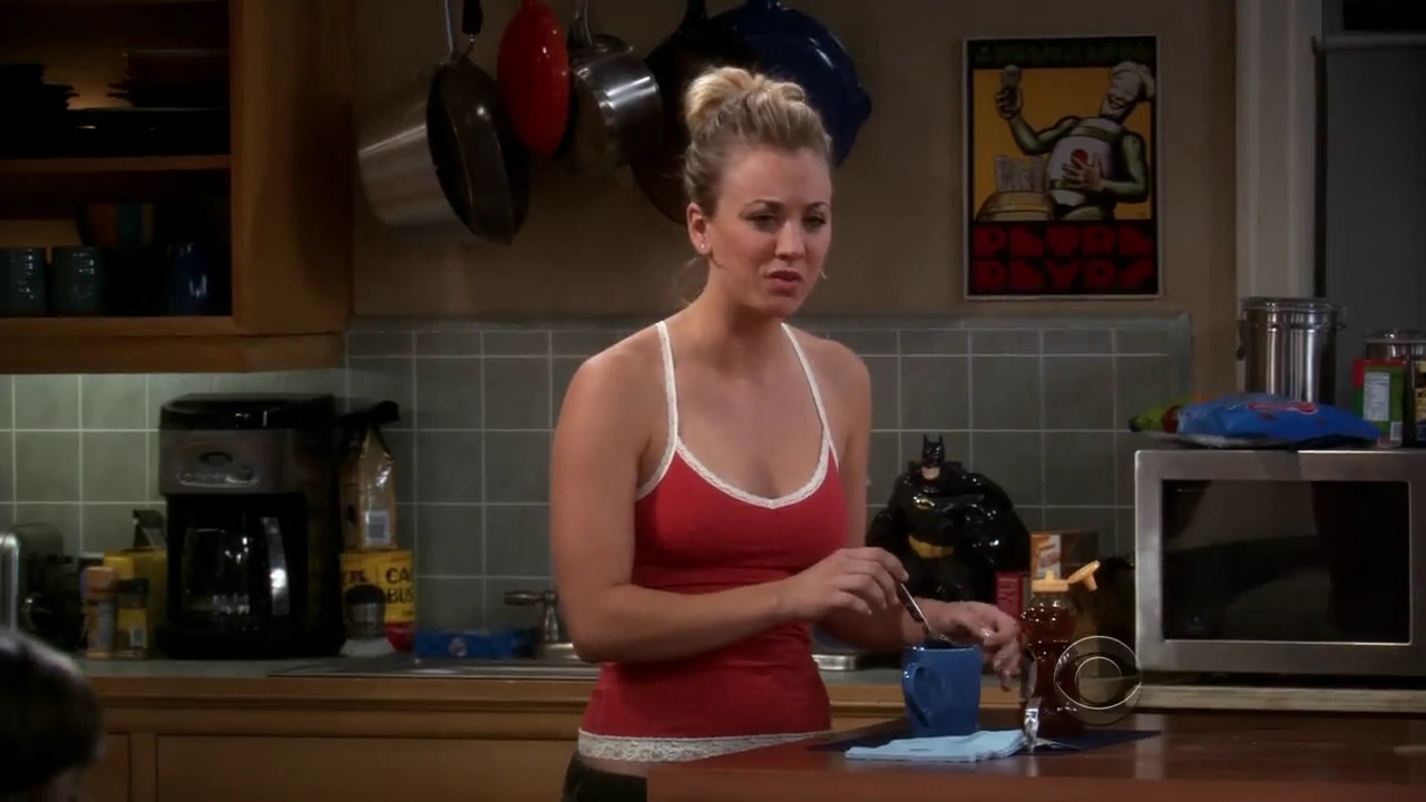 Charmed-Online-dot-net_TBBT-2x08-0398.jpg
