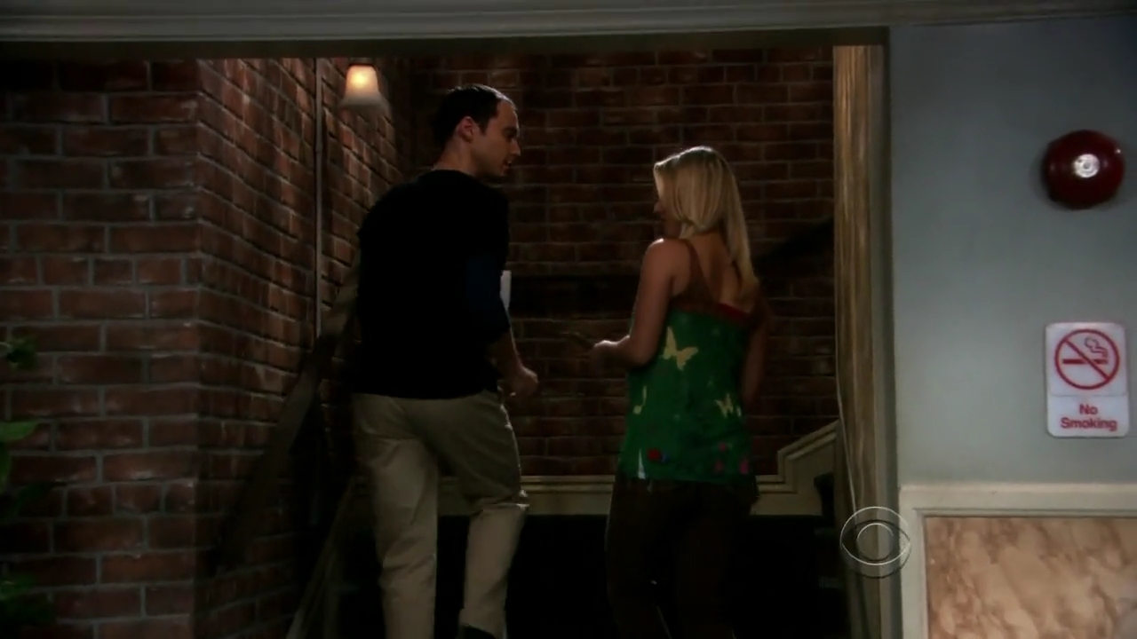 Charmed-Online-dot-net_TBBT-2x09-0017.jpg