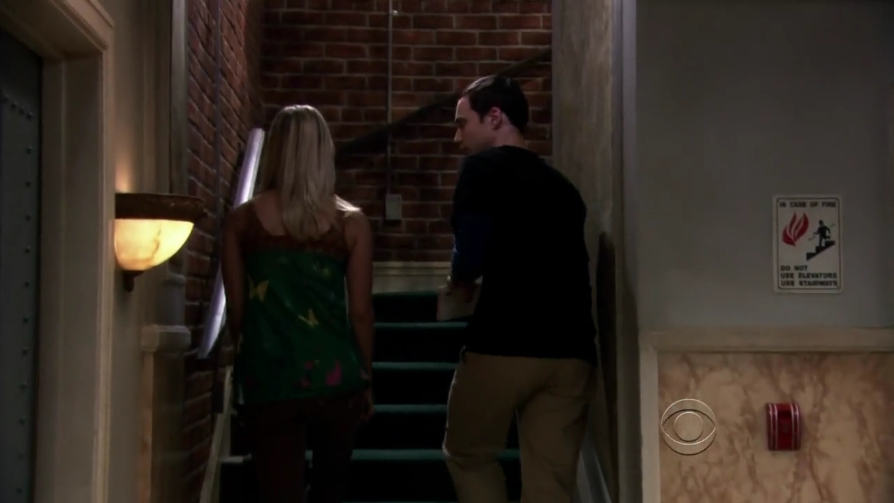 Charmed-Online-dot-net_TBBT-2x09-0105.jpg