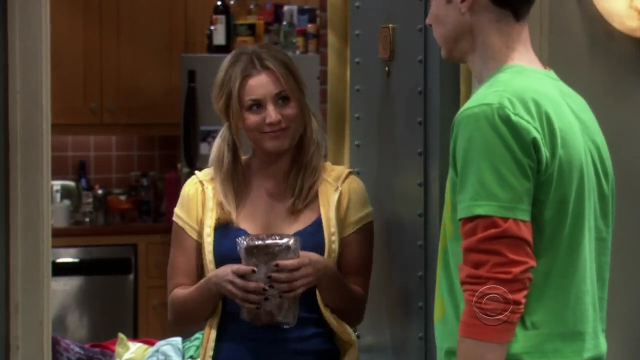 Charmed-Online-dot-net_TBBT-2x09-0363.jpg