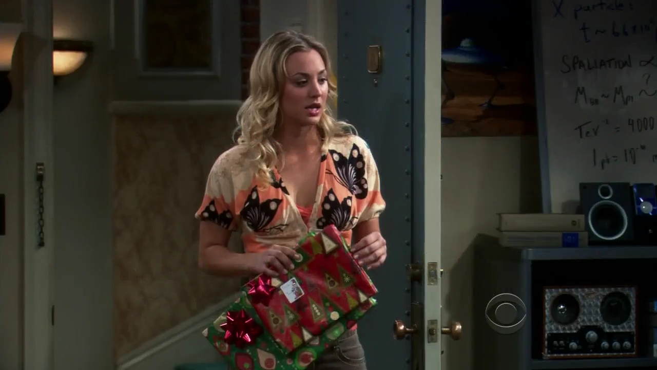 Charmed-Online-dot-net_TBBT-2x11-0184.jpg