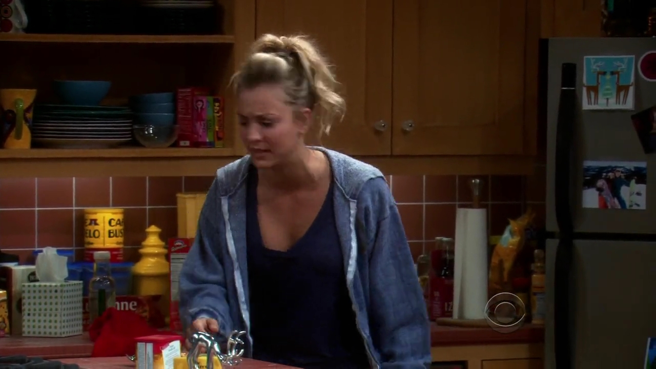 Charmed-Online-dot-net_TBBT-2x11-0617.jpg