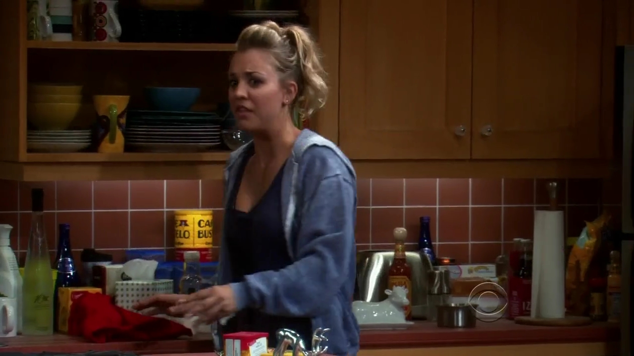 Charmed-Online-dot-net_TBBT-2x11-0622.jpg