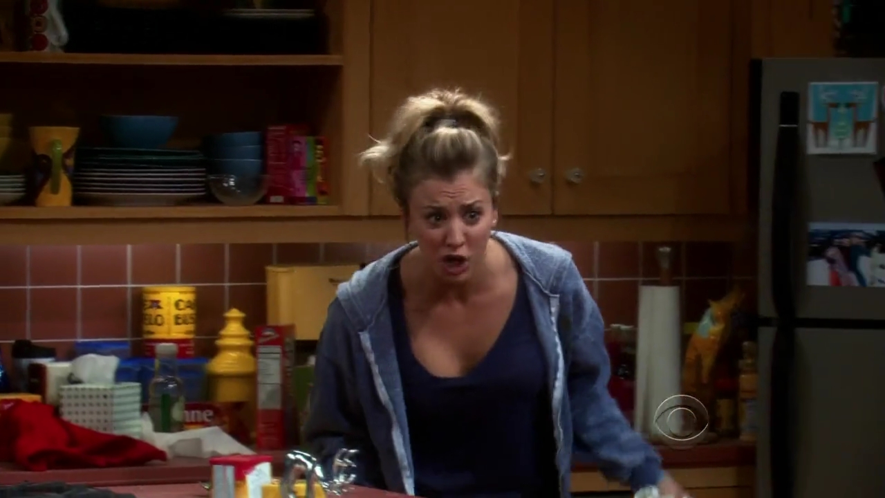 Charmed-Online-dot-net_TBBT-2x11-0623.jpg