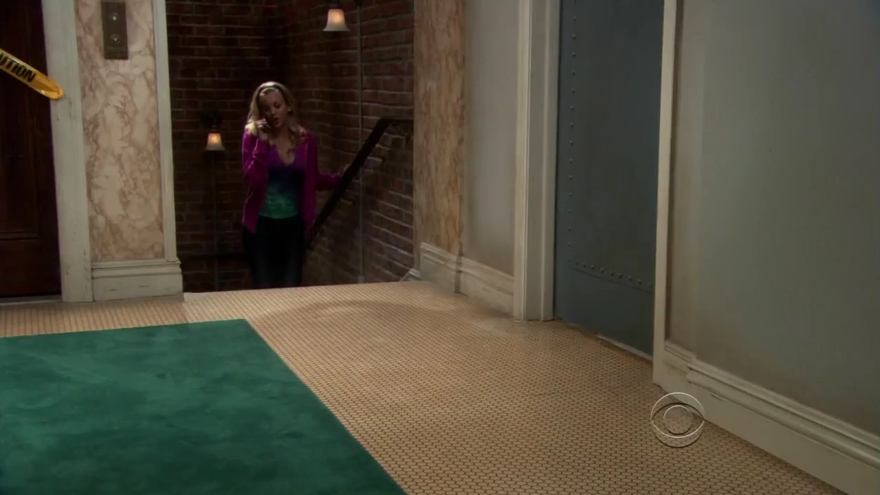Charmed-Online-dot-net_TBBT-2x12-0114.jpg