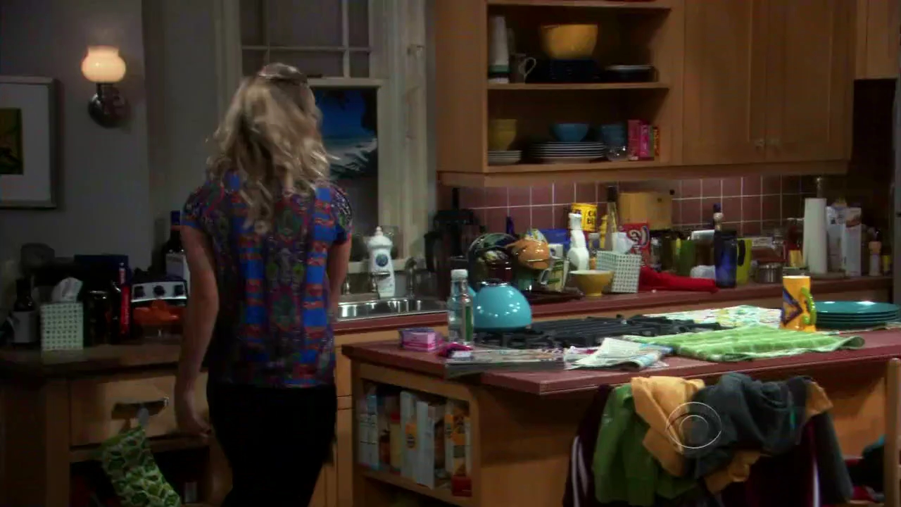 Charmed-Online-dot-net_TBBT-2x12-0382.jpg