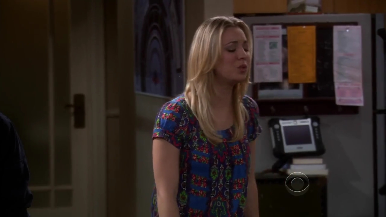 Charmed-Online-dot-net_TBBT-2x16-0241.jpg