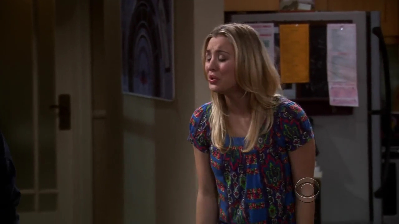 Charmed-Online-dot-net_TBBT-2x16-0242.jpg