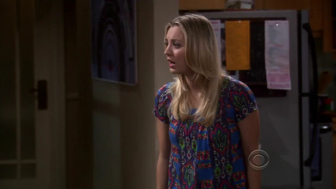 Charmed-Online-dot-net_TBBT-2x16-0244.jpg
