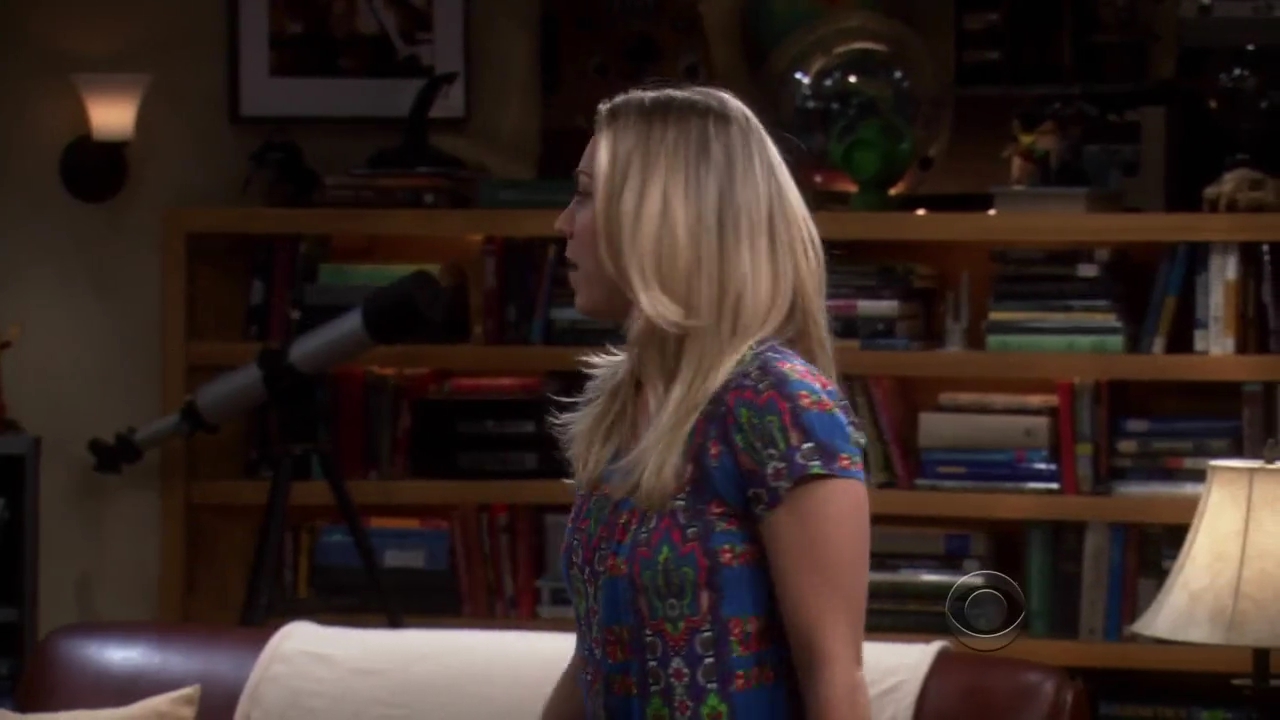 Charmed-Online-dot-net_TBBT-2x16-0260.jpg
