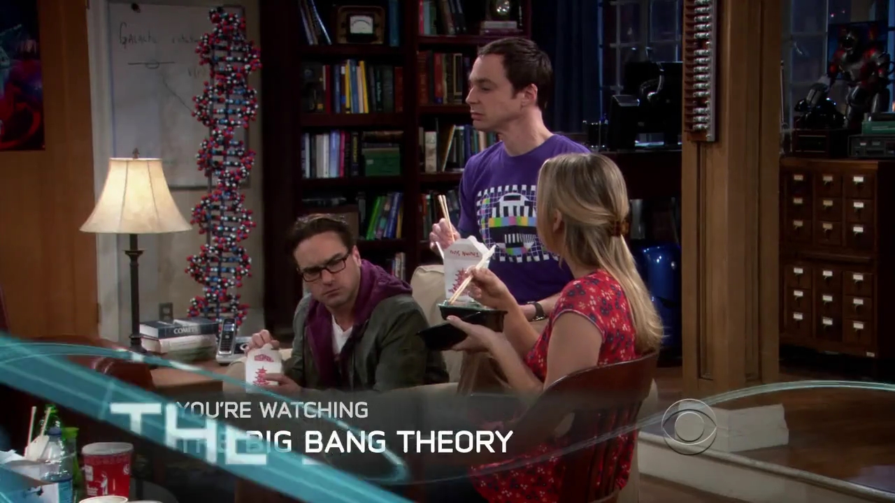 Charmed-Online-dot-net_TBBT-2x16-0410.jpg