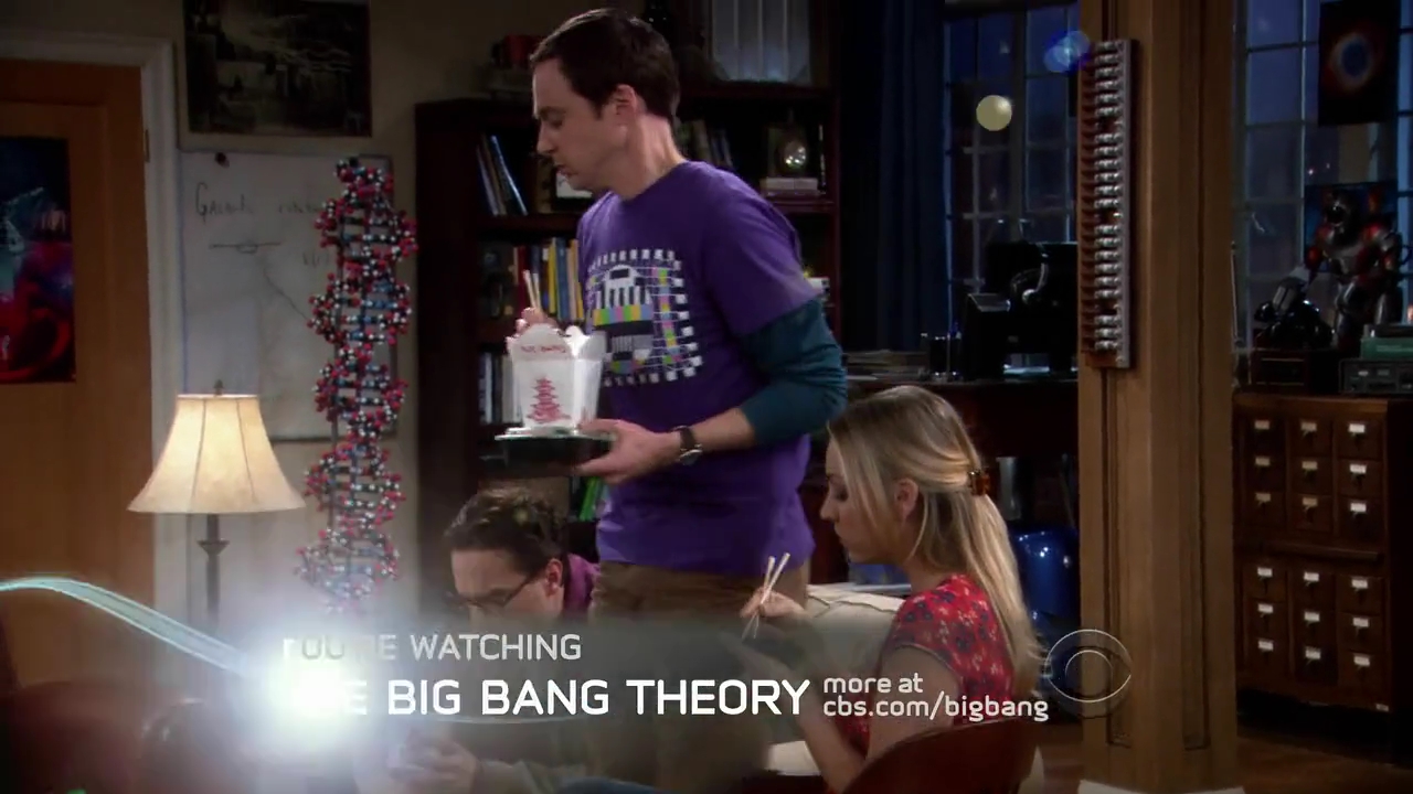 Charmed-Online-dot-net_TBBT-2x16-0413.jpg