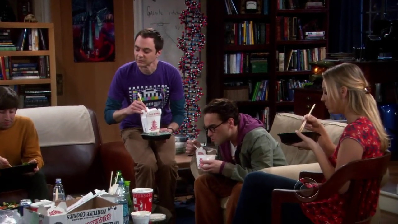 Charmed-Online-dot-net_TBBT-2x16-0420.jpg