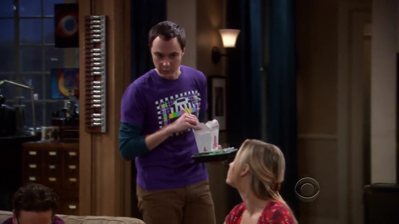 Charmed-Online-dot-net_TBBT-2x16-0496.jpg
