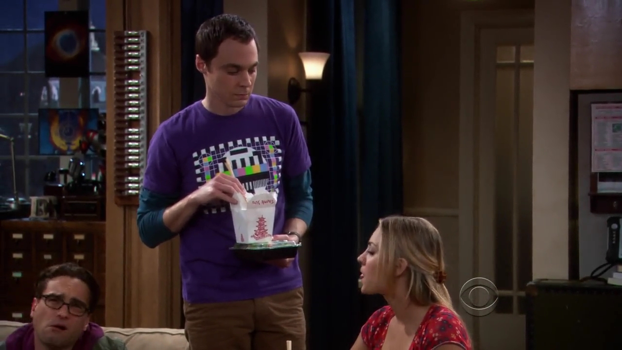Charmed-Online-dot-net_TBBT-2x16-0504.jpg