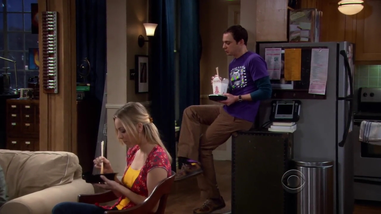 Charmed-Online-dot-net_TBBT-2x16-0537.jpg