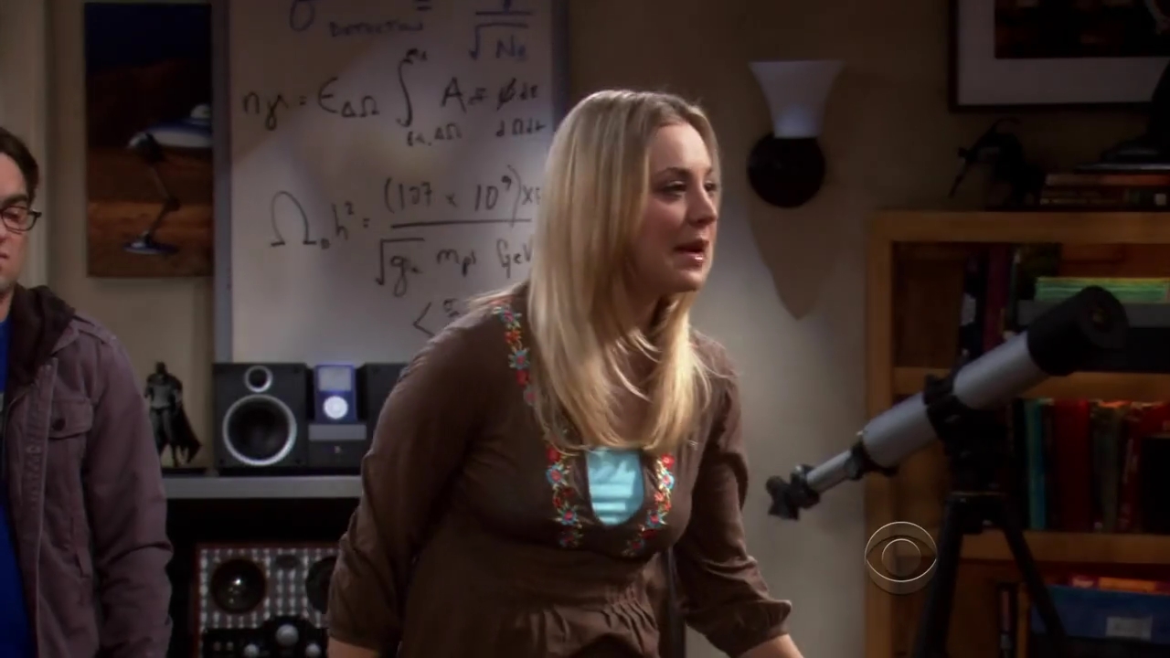 Charmed-Online-dot-net_TBBT-2x16-0617.jpg