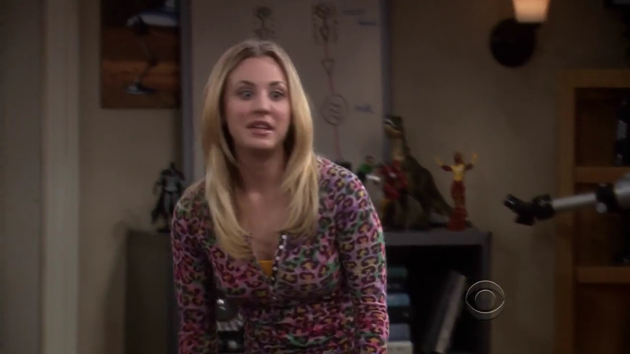 Charmed-Online-dot-net_TBBT-2x17-0111.jpg