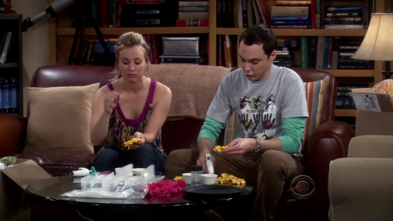 Charmed-Online-dot-net_TBBT-2x180787.jpg